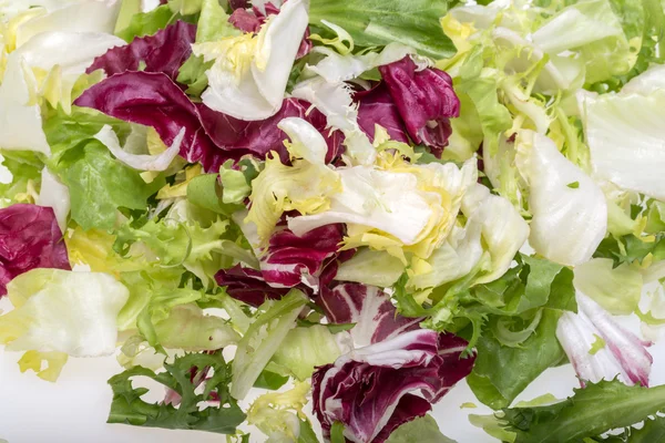 Hoja verde y roja de lechuga. Aislado sobre un fondo blanco — Foto de Stock