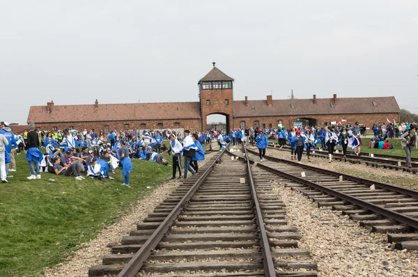 Journée internationale de commémoration de l'holocauste — Photo