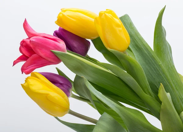 Blumenstrauß aus bunten Tulpen — Stockfoto