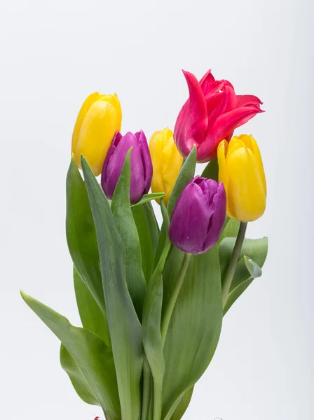 Kytice z barevné tulipány — Stock fotografie