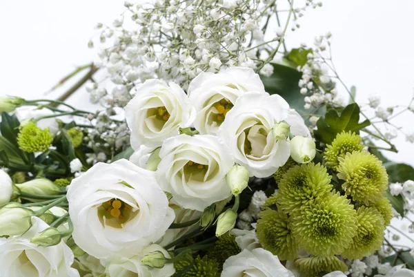 Primer plano de rosas blancas — Foto de Stock