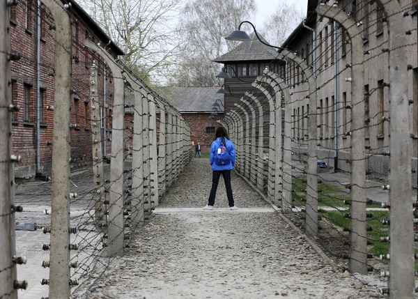 Internationale holocaust herdenkingsdag . — Stockfoto