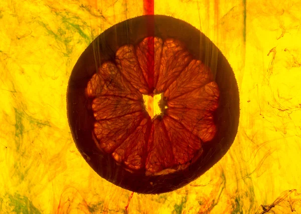 Close up of a grapefruit slice in water — Stock Photo, Image