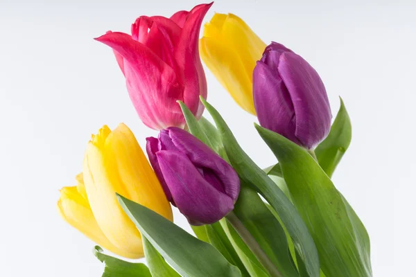 Blumenstrauß aus bunten Tulpen — Stockfoto