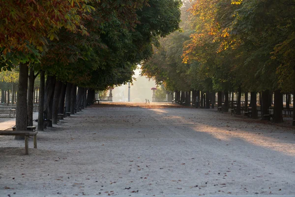 Kasztan parkway w ogrodzie Luxembourg, Paryż — Zdjęcie stockowe