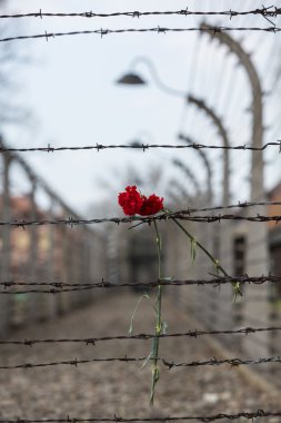 elektrikli çit içinde eski nazi toplama kampı auschwitz ı, Polonya