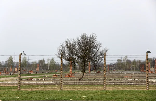 Auschwitz i. Birkenau. Polen. das größte nazi-konzentrationslager in europa und jetzt das staatliche museum auschwitz-birkenau. — Stockfoto