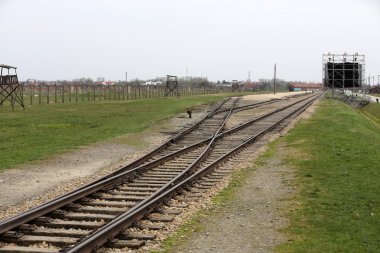 Auschwitz II Birkenau. Polonya.