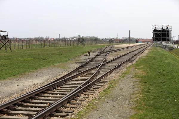 Auschwitz II Birkenau. Poland. — Stock Photo, Image