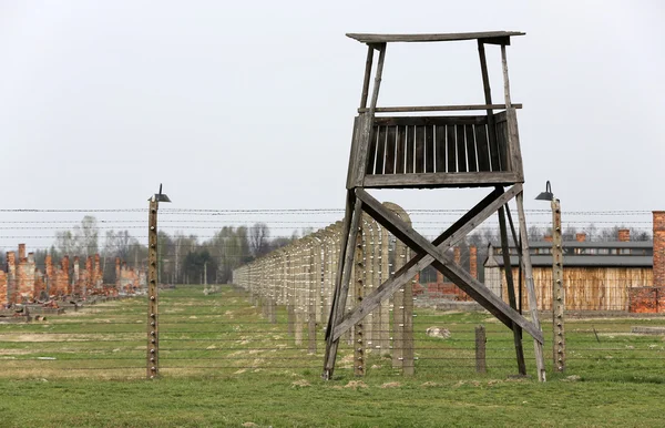 Auschwitz Ii Birkenau. Pologne. — Zdjęcie stockowe