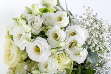 Beyaz güller yakın çekim