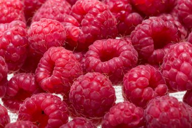 Taze toplanmış güzel bir kırmızı ahududu seçimi..