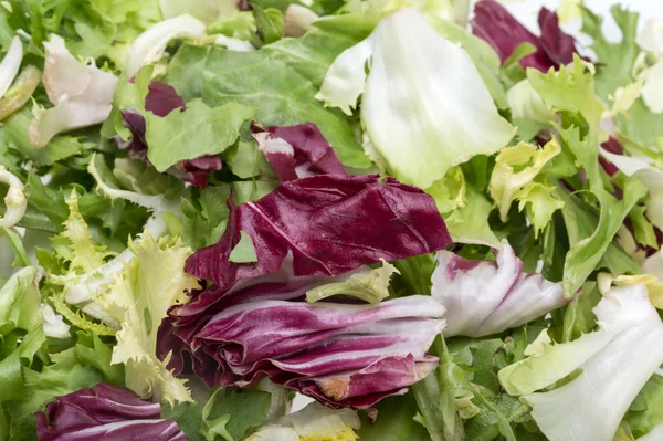 Gröna och röda blad sallad. Isolerad på en vit bakgrund — Stockfoto