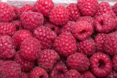 Taze toplanmış güzel bir kırmızı ahududu seçimi..