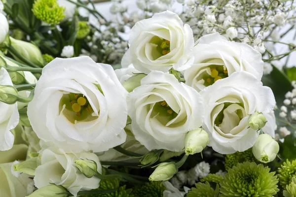 Zblízka bílých růží — Stock fotografie