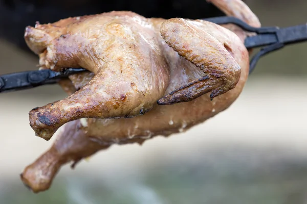 Pollo entero asado en una fogata —  Fotos de Stock