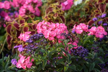 Paris - Lüksemburg Bahçeleri