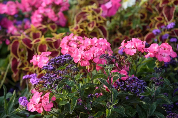 Paris - Lüksemburg Bahçeleri