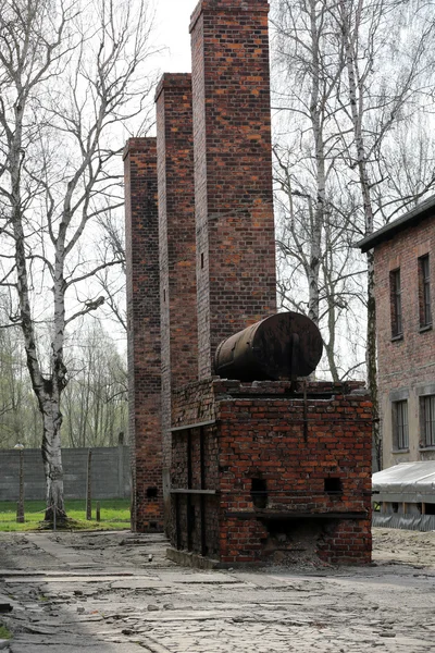 Auschwitz-Birkenau, — Fotografia de Stock