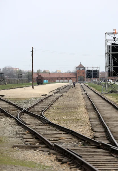 Auschwitz-Birkenau, — Stock Photo, Image