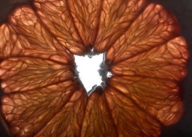 Bir greyfurt dilim su yakın çekim