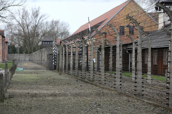 Valla eléctrica en el antiguo campo de concentración nazi Auschwitz I, Polonia —  Fotos de Stock