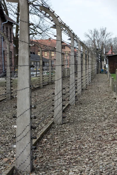 Cerca elétrica no antigo campo de concentração nazista Auschwitz I, Polônia — Fotografia de Stock