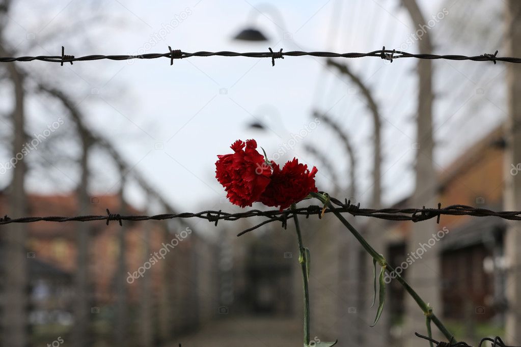 Electric fence in former Nazi concentration camp Auschwitz I, Poland