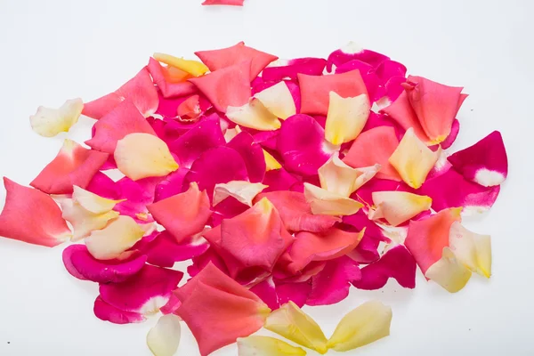 Petals of Pink and Yellow Roses Flowers. Background — Stock Photo, Image