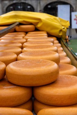 Hollanda, Gouda 'daki peynir pazarında tüm yuvarlak peynirler satılıktır.