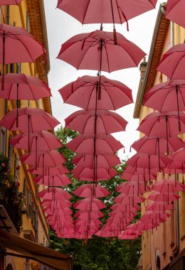 Grasse sokakları, parfümerisiyle tanınan bir şehir, geleneksel uluslararası gül fuarı vesilesiyle pembe şemsiyelerle süslenmiş..