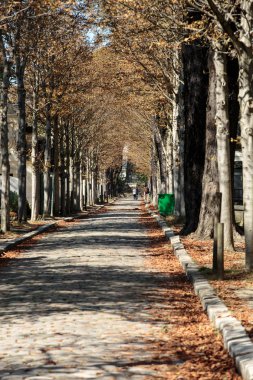 Pere lachaise mezarlığı Paris, Fransa