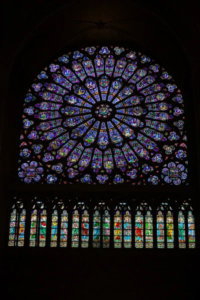 Paris França - Catedral de Notre Dame  . — Fotografia de Stock