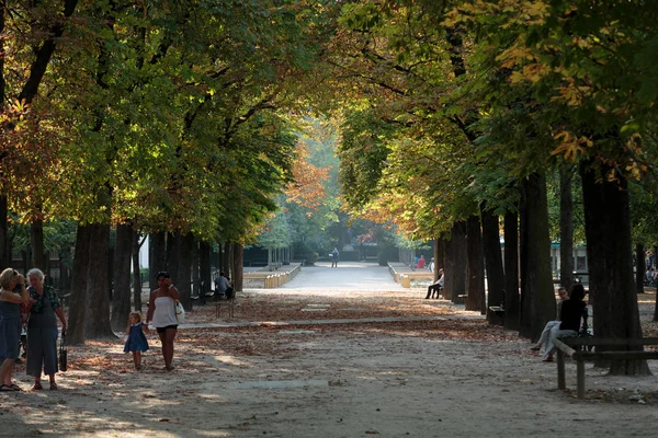 Kaštanové parkway v zahradách Luxembourg, Paříž — Stock fotografie