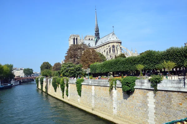 La cattedrale di Notre Dame a Parigi in Francia — Foto Stock