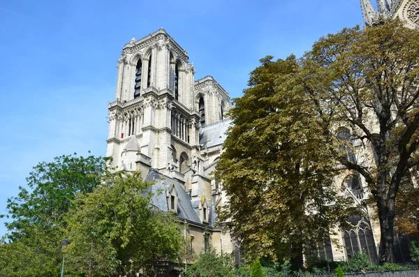 Katedrála Notre Dame v Paříži. Francie — Stock fotografie