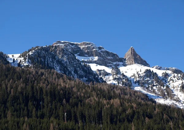 Alpes Dolomitas - con vistas al grupo Sella en Val Gardena. Italia —  Fotos de Stock