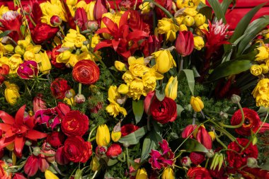 Kırmızı ve sarı çiçekli güzel çiçekçi.