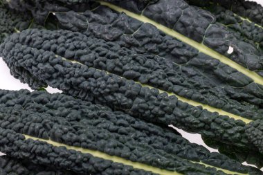 Lacinato lahanası veya Toskana Kalesi olarak da bilinir.