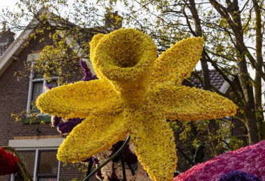 Noordwijkerhout, Hollanda - 21 Nisan 2023: Noordwijkerhout 'ta akşam aydınlanan Çiçek Geçidi Bollenstreek için çiçek şamandıraları hazırlandı