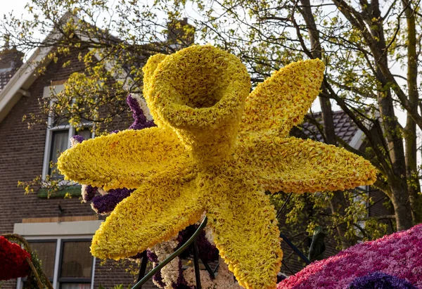 Noordwijkerhout, Hollanda - 21 Nisan 2023: Noordwijkerhout 'ta akşam aydınlanan Çiçek Geçidi Bollenstreek için çiçek şamandıraları hazırlandı