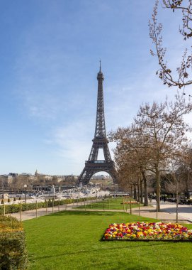 Paris 'te bahar. Arka planda Japon kiraz ve primula çiçekleri Trocadero ve Eyfel Kulesi boyunca çiçek açar..