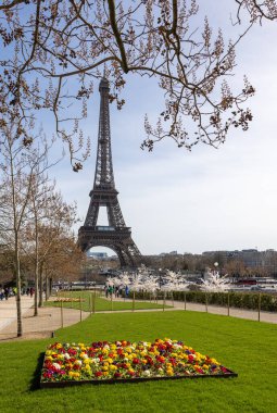 Paris 'te bahar. Arka planda Japon kiraz ve primula çiçekleri Trocadero ve Eyfel Kulesi boyunca çiçek açar..