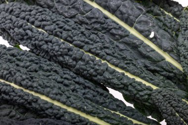 Lacinato lahanası veya Toskana Kalesi olarak da bilinir.