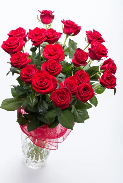 Bouquet of blossoming dark red roses — Stock Photo, Image