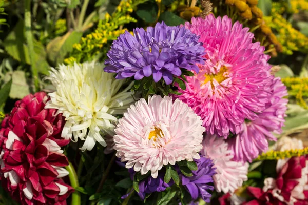 Handgefertigte schöne Sträuße aus Blumen und Kräutern — Stockfoto