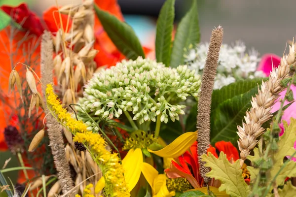 Ramos hermosos hechos a mano de flores y hierbas — Foto de Stock