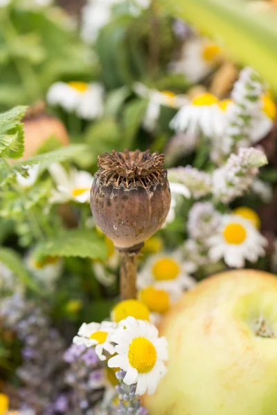 Handgefertigte schöne Sträuße aus Blumen und Kräutern — Stockfoto