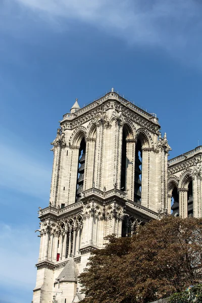 De kathedraal van Notre-Dame in Parijs. Frankrijk — Stockfoto