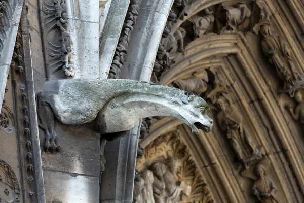 Paris - Notre Dame Katedrali Kuzey yan duvarında gargoyles — Stok fotoğraf